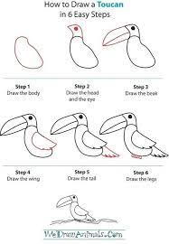 How to draw a frog for kids. How To Draw A Toucan In 6 Easy Steps Drawing And Painting Tutorials Scoop It How To Draw A Toucan Toucan Art Drawing Lessons For Kids