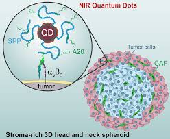 I'll show you exactly what steps to take to become rich. Cancers Free Full Text Nir Imaging Of The Integrin Rich Head And Neck Squamous Cell Carcinoma Using Ternary Copper Indium Selenide Zinc Sulfide Based Quantum Dots Html
