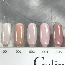 Gelixir Collection 1 100 Gel Polish Uv Led Soak Off Gel