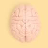Story image for mind brain news articles from Washington Post