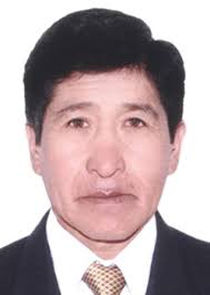 Ingresos de Otorongos Elecciones 2022