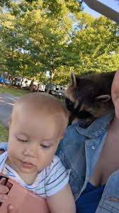 #raccoon #slipperyrock #campground