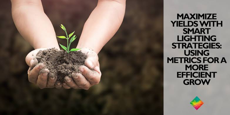 efficientgrow Coupons and Promo Code
