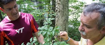 Committee Minutes BUILDINGS AND GROUNDS COMMITTEE November 17, 2019 Open  Session Board Members Present: Edward Bane, Shelly Barl