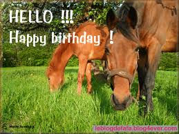 Very Polite And Funny Horse E Carte Anniversaire Carte Anniversaire Gratuite Carte Anniversaire