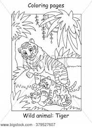 The tiger, whose scientific name is panthera tigris, is a large animal species. Vector Coloring Pages Vector Photo Free Trial Bigstock
