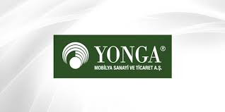 Yonga Mobilya Yonga Hisse Senedi Anapara Com