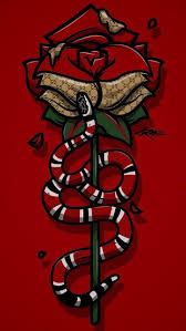 Explore collection 'gucci wallpapers hd' and download any of this beautiful desktop background pictures for your device for free. Gucci Wallpaper Enjpg