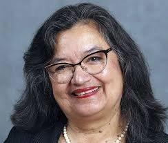 Voter turnout key in flipping District 9 in Springdale to Democrats, both  candidates say