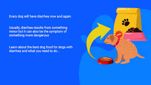 A young puppy with diarrhea usually needs medical attention immediately. The Best Dog Food For Dogs With Diarrhea And Loose Stools