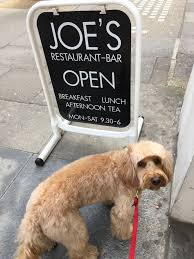 You can sit outside with your dog on the patio in the summertime. Dog Friendly Restaurants In London Archives Miss Darcy S Adventures