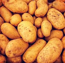More images for best tasting early potatoes » Growing New Potatoes How To Grow Guide Online Soil