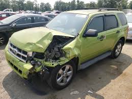 Image result for Lime Squeeze 2012 Escape