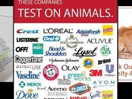 Animal testing for cosmetics in 2021 is unnecessary, inhumane, and outdated. Natural Makeup New 71 Natural Makeup Not Tested On Animals