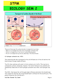 Pin On Stpm Biology Sem 2