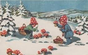 Resultado De Imagen Para Fly Agaric Ilustraciones Dibujos Felicidad