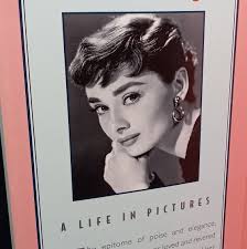 Audrey: A Life in Pictures by Carol Krenz, Biography of Audrey Hepburn in  Pictures, Copyright 1997, Vintage Hollywood Legend Memoir