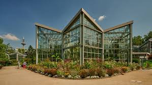 The palm garden was revamped in the 1960s when a major reconstruction effort was begun to develop and expand the existing structures. Palmengarten Frankfurt Schauhauser