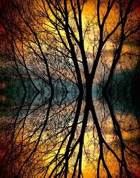 Abstract Photo Abstract Photography Example Of Abstract Abstract Photography Prints