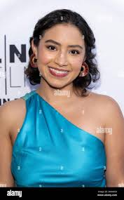 Vanessa gold -Fotos und -Bildmaterial in hoher Auflösung