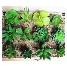 I suggest purchasing a decorative indoor flowering tree for your home. Buy Seeds Potted Plants Succulents Mini Decorative Artificial Flowers Online Get 68 Off