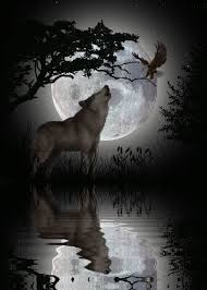 Great collection of wolf gif animations. Howling Wolves Gifs 70 Animated Images For Free