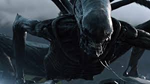 It's about a woman's descent into madness. Most Searched For Horror Film In Alaska Kiny