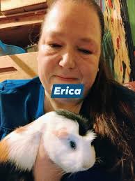 Guinea pigs to a good home. My daughter loves her babies and tends them  devotely. Woodstock area