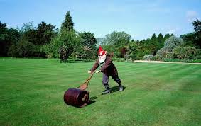 When looking to fix a low spot in your garden, topdressing these dents is a great way to level your lawn in the least invasive way possible. Should I Roll My Lawn Green Giant Services