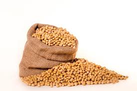 White Beans Vs Soybeans