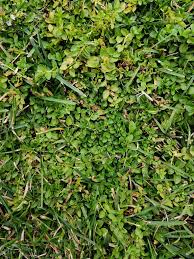 Image result for site:byggahus.se Algomin