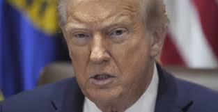 Erie's Haley Poe will contend for world crown in pageant that promotes  conservation