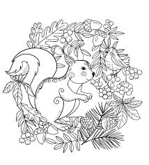 The kids will love these fun santa coloring pages. Squirrel And Bird Coloring Page Free Printable Coloring Pages For Kids