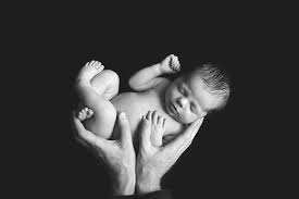 Maybe you would like to learn more about one of these? Calgary Newborn Baby Boy Photoshoot Noah Calgary And Airdrie Newborn Photographer Calgary Airdrie Newborn Photographer Milashka Photography