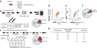 We did not find results for: Pathogenic Variants That Alter Protein Code Often Disrupt Splicing Nature Genetics