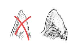 Así, podrás hacerte una mejor idea del resultado que quieres obtener. Como Dibujar Animales Los Gatos Y Su Anatomia Diseno E Ilustracion Desarrollo De Sitios Web Juegos De Ordenador Y Aplicaciones Moviles