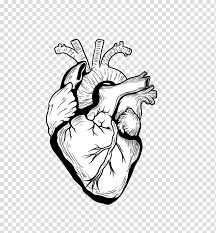 Heart Drawing Organ Black Creative Heart Organ Transparent Background Png Clipart Hiclipart Trick art on line paper. heart drawing organ black creative