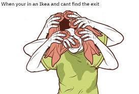 When your in an Ikea and cant find the exit | SCP-3008 | Know Your Meme