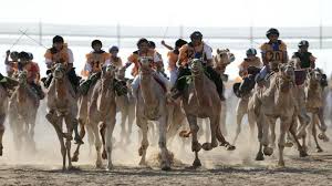One of the oldest sports in the middle east happens to be camel racing. Uae Camel Racing To Resume Following A Five Month Hiatus Al Monitor The Pulse Of The Middle East