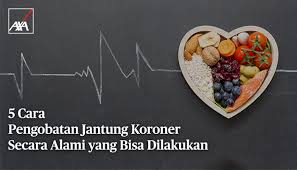 Penyakit jantung merupakan satu di antara penyebab kematian paling banyak di berbagai negara di dunia dan juga termasuk di indonesia. 5 Cara Pengobatan Jantung Koroner Secara Alami Yang Bisa Dilakukan