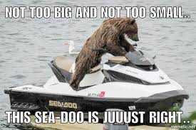 Account Suspended Jet Ski Funny Animals Animals