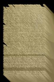 Image result for Thesium ussanguense