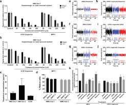 Record and instantly share video messages from your browser. A Fully Automated High Throughput Workflow For 3d Based Chemical Screening In Human Midbrain Organoids Elife