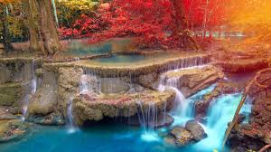 Download hd waterfall wallpapers best collection. Yellow Red Autumn Trees On Stream Waterfall During Daytime 4k Nature Hd Desktop Wallpaper Widescreen High Definition Fullscreen