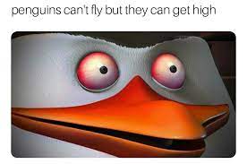 Pin On The Best Medicine