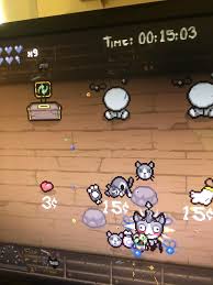 It is the only domesticated species in the family felidae. Chaos Isaac Greed Mode Got Dead Cat In This Floor S Free Room Too Axdz Y4gq Bindingofisaac