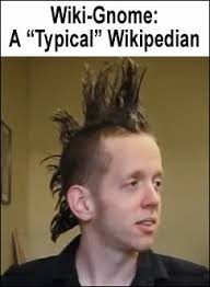 Wikipedia is an Insane Place"