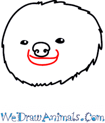 Now draw the squirrel's body leave a gap for. How To Draw A Sloth Face Step By Step Tutorial