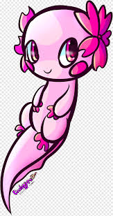How to draw christmas characters: Salamander Axolotl Drawing Salamander Animals Pet Png Pngegg