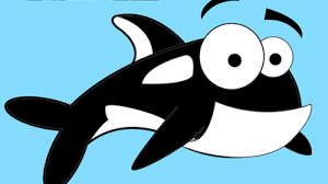 All you need to do is finish drawing the shape of the cartoon killer whales body and don't forget to draw the dorsal fin and tail as well. How To Draw Cartoon Orca Whales With Easy Step By Step Drawing Lesson How To Draw Step By Step Drawing Tutorials